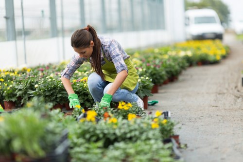 Illustration of cookie use on a landscaping website