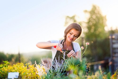 Professional landscaping in Norbiton with thoughtful garden design