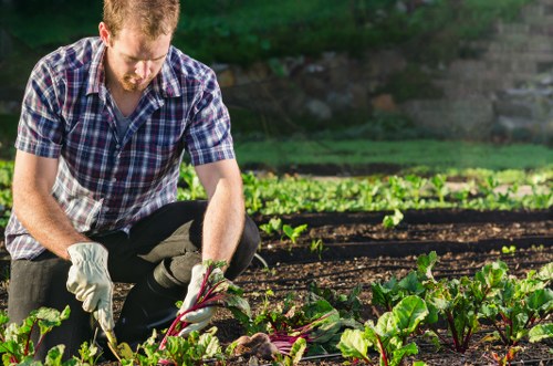 Trained landscaper carrying out outdoor maintenance safely