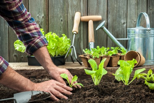 Soft landscaping planting beds and lawn improvement in Norbiton