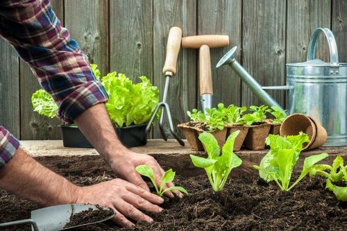 Accessible landscaping content for Norbiton with inclusive website features