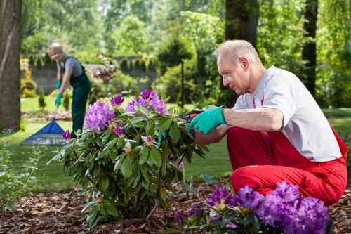 Annual review of modern slavery controls in Landscaping Norbiton