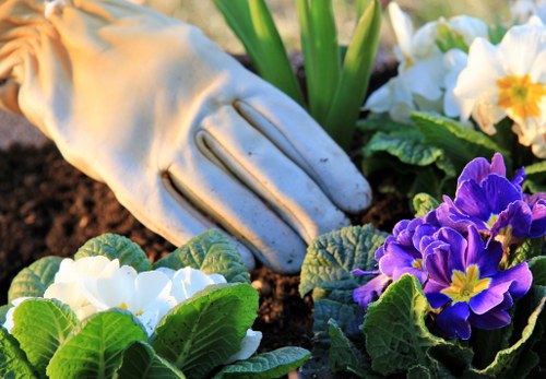 Audit checklist for modern slavery risk in landscaping supply chains