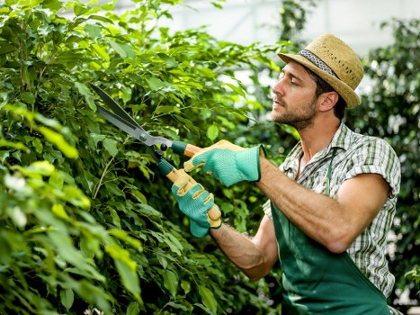 Local transfer station handling separated garden and hard landscaping waste