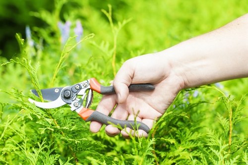 Reviewing a landscaping service issue with clear records