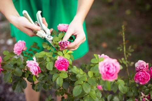Outdoor landscaping quotation and booking paperwork