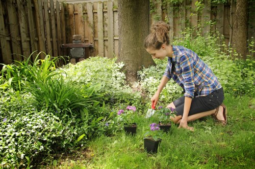 Accessibility request and support section for Norbiton landscaping site
