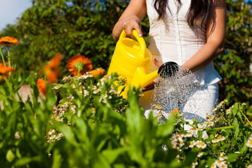 Free quote policy for Norbiton landscaping services