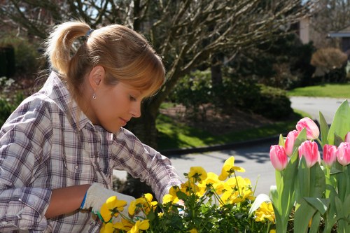 Escalating a landscaping complaint for further assessment